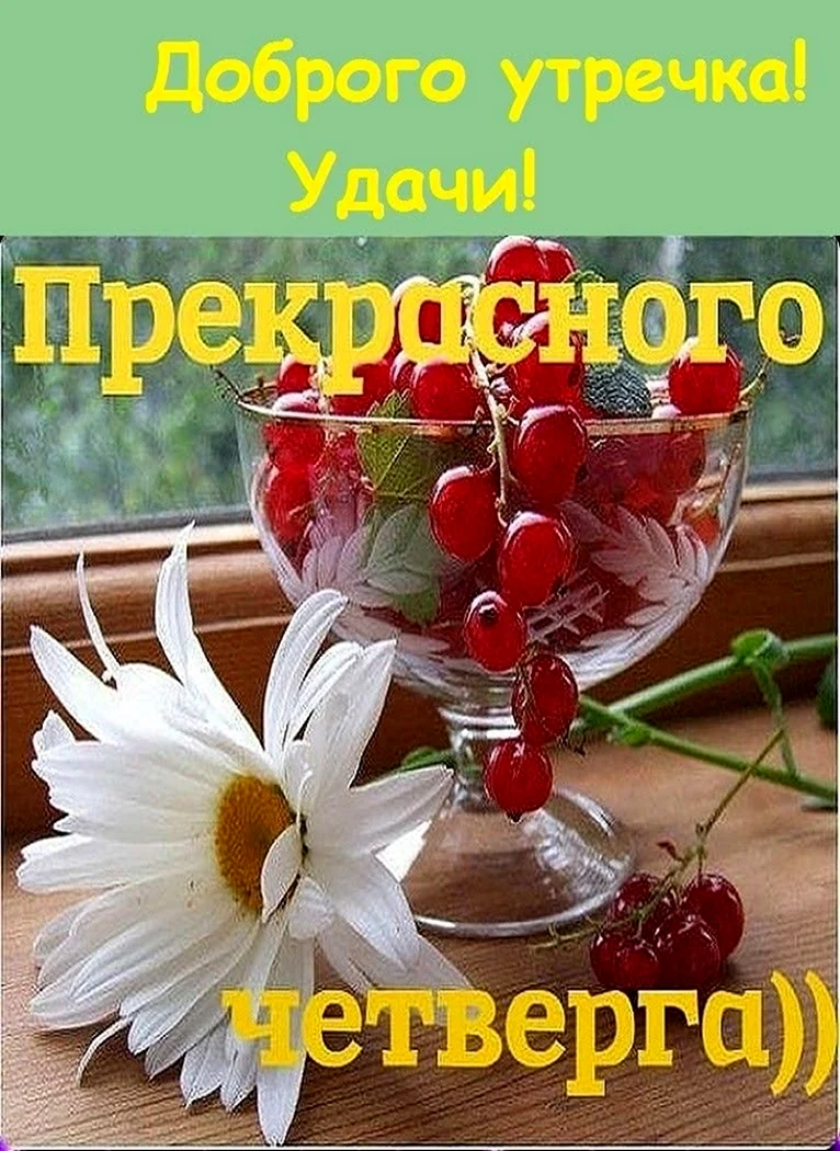 Доброе утро четверга