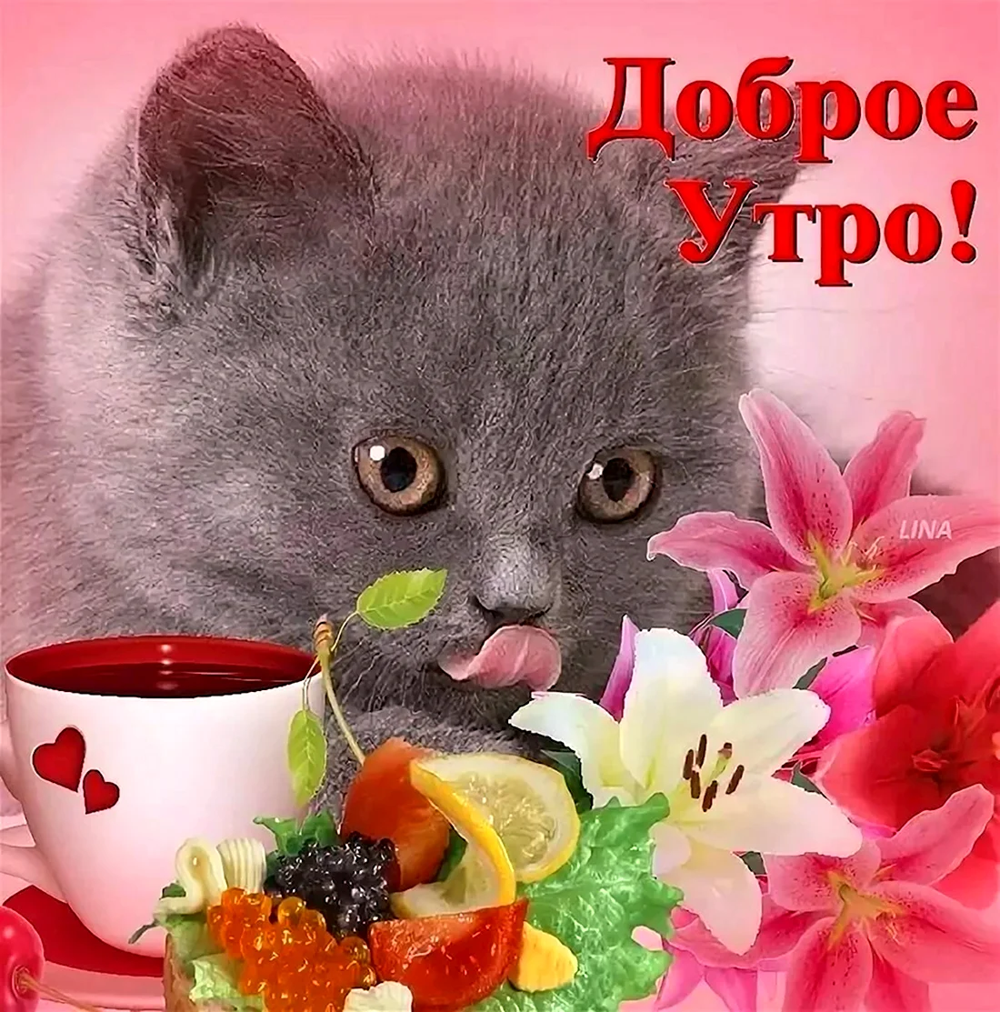 Доброе утро девушке