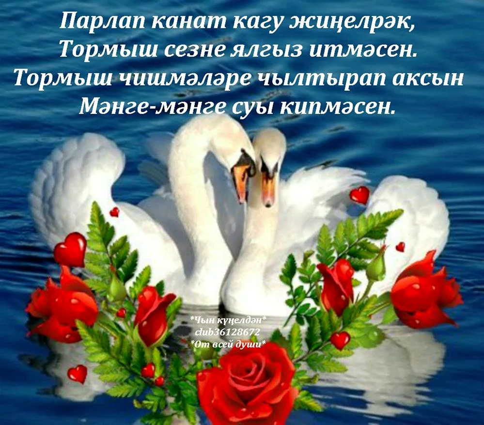 Доброе утро лебеди