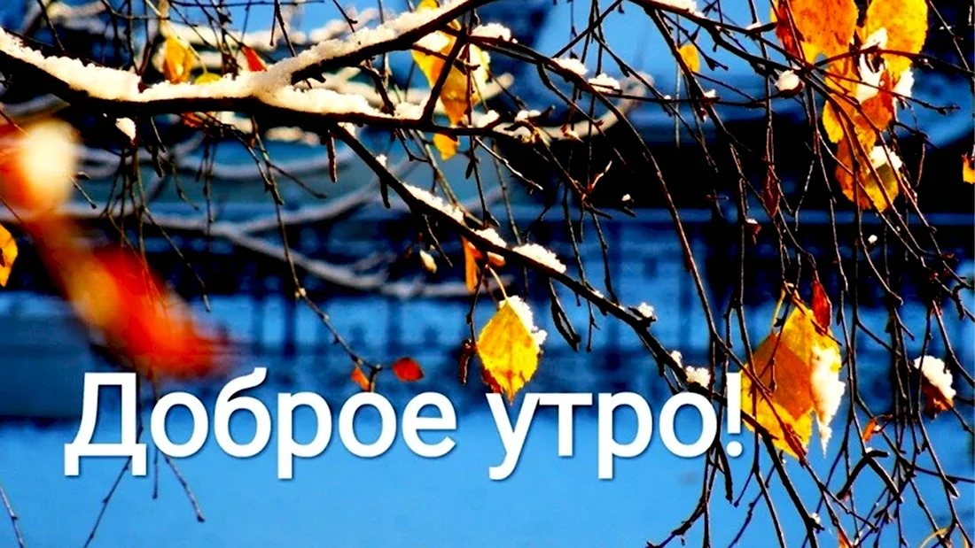 Доброе утро ноябрь