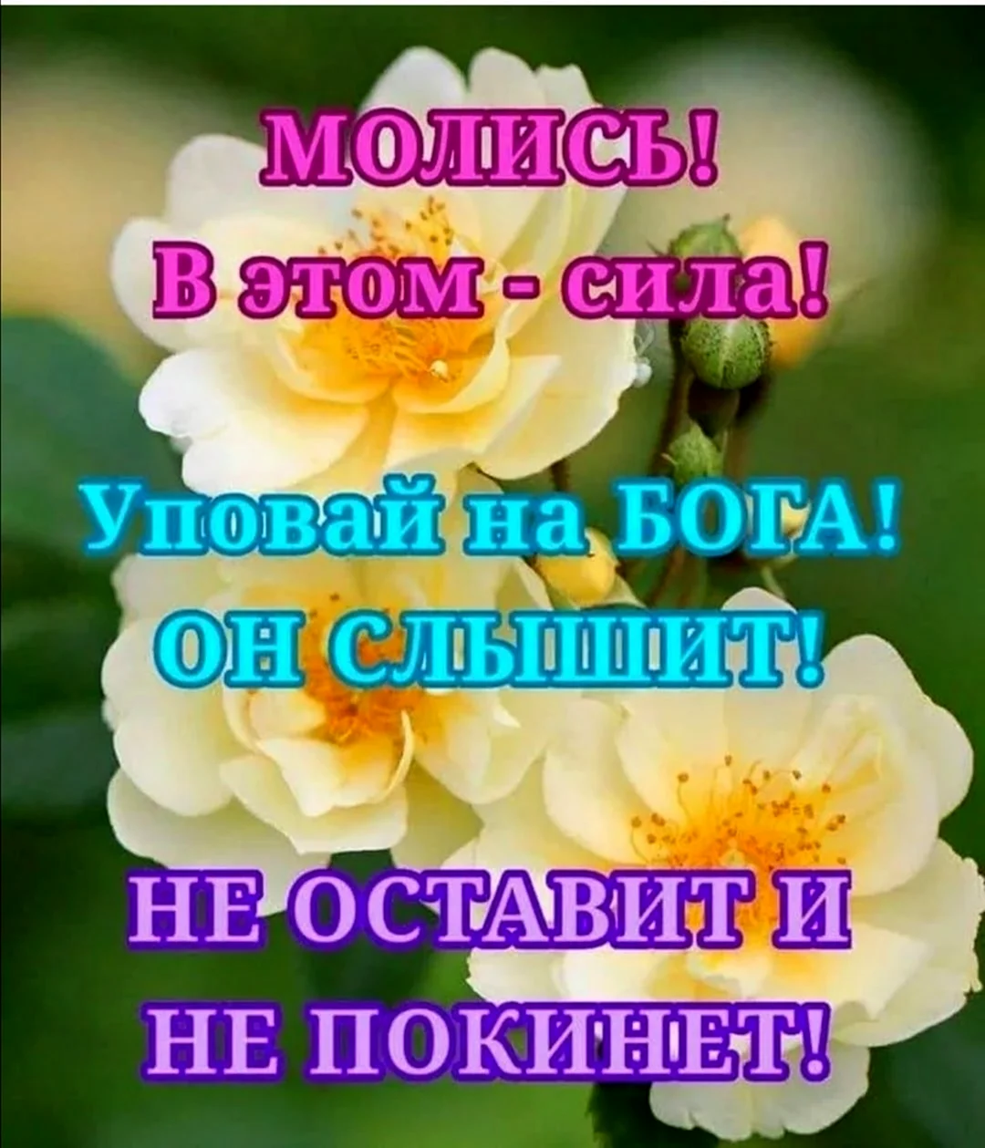 Доброе утро с Богом