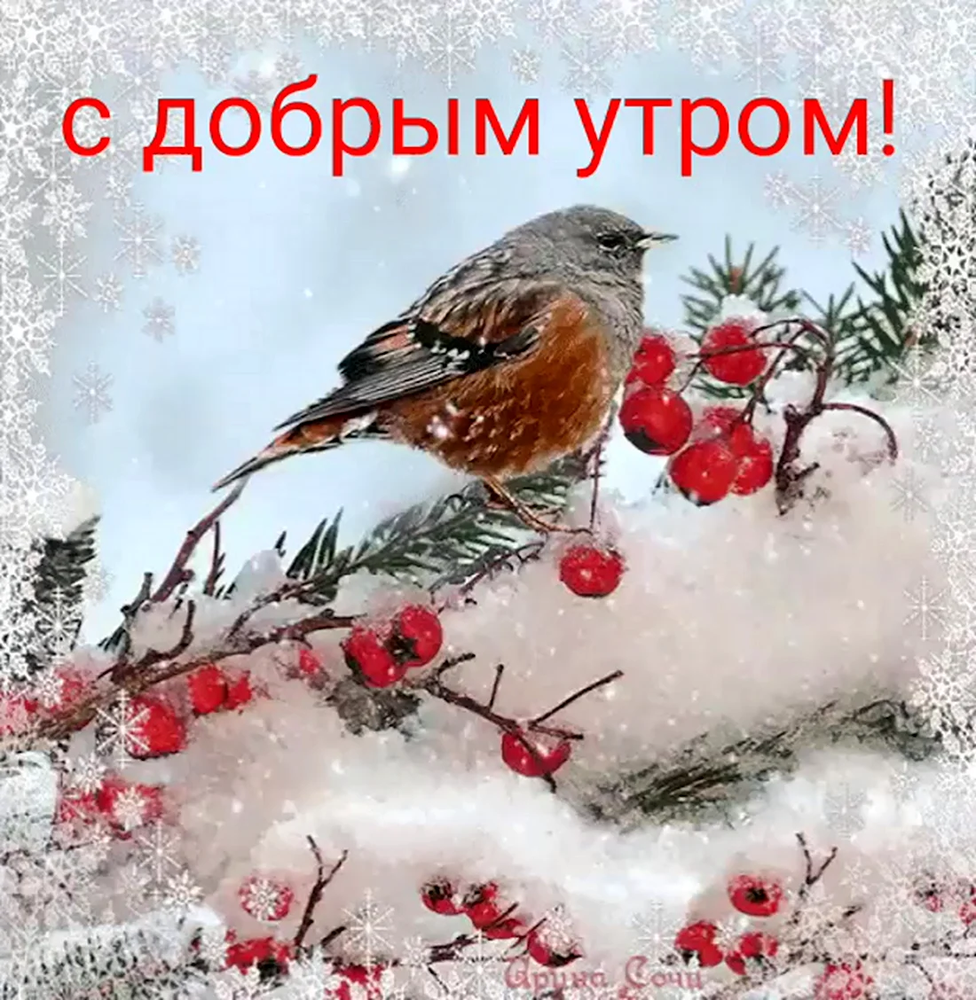 Доброе утро с птичками зимой