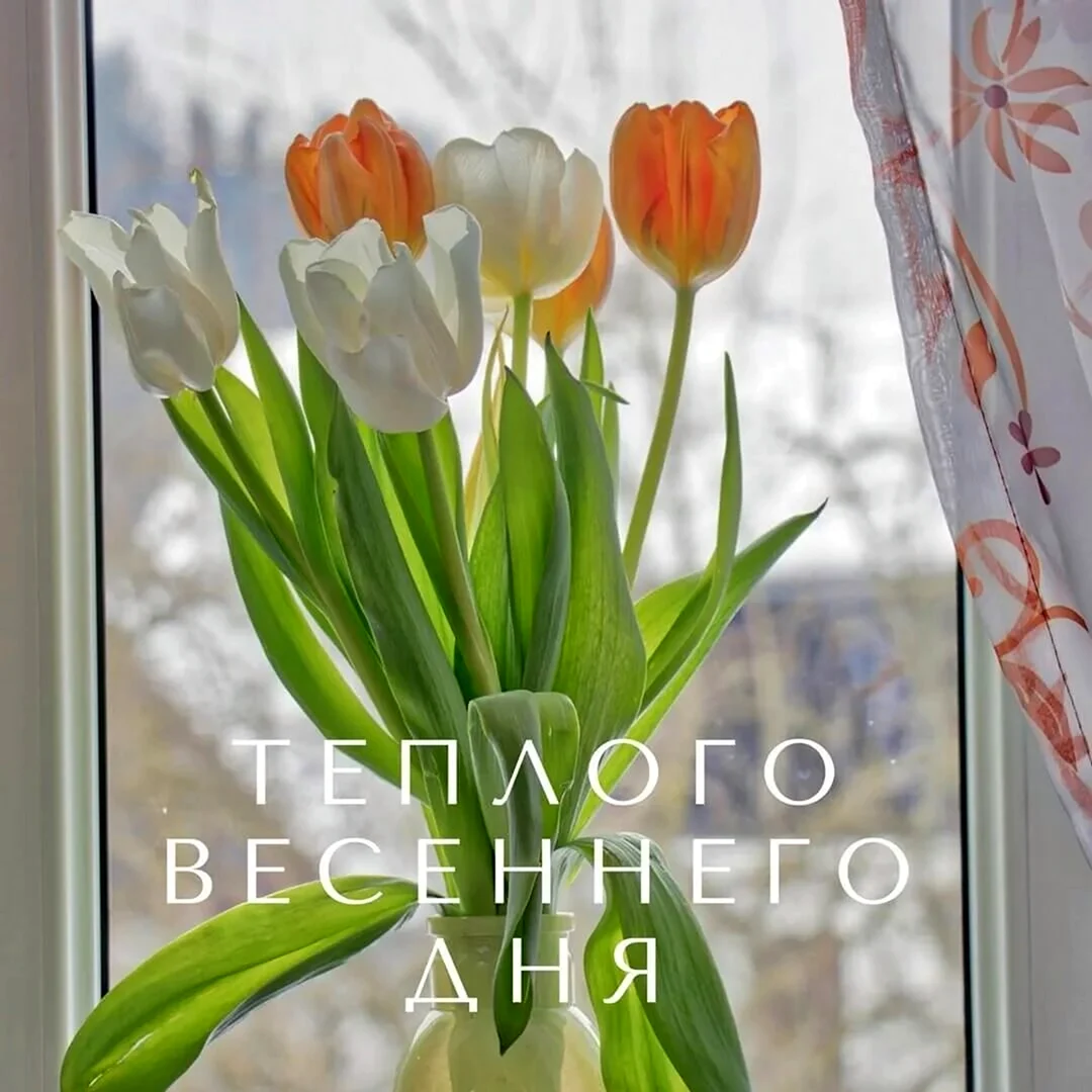 Доброе Весеннее утро