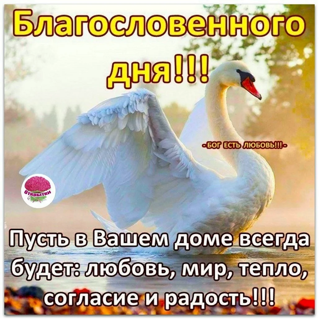 Доброго благословенного дня