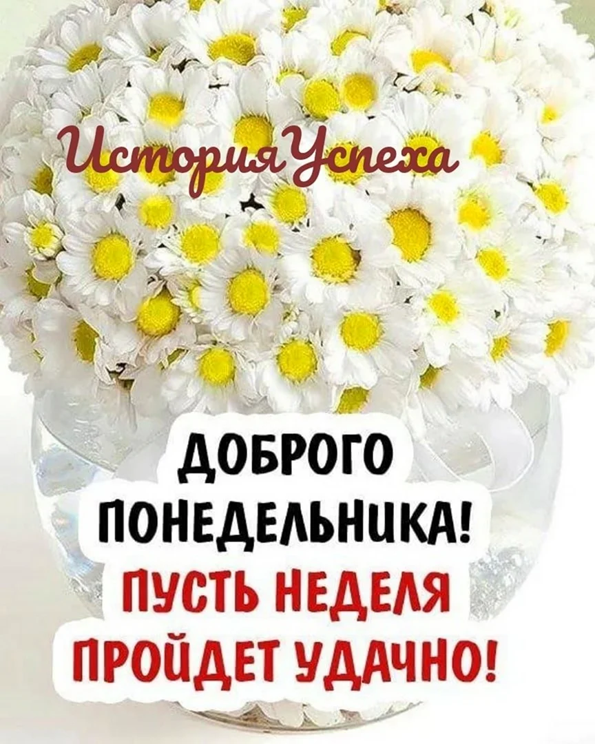 Доброго понедельника