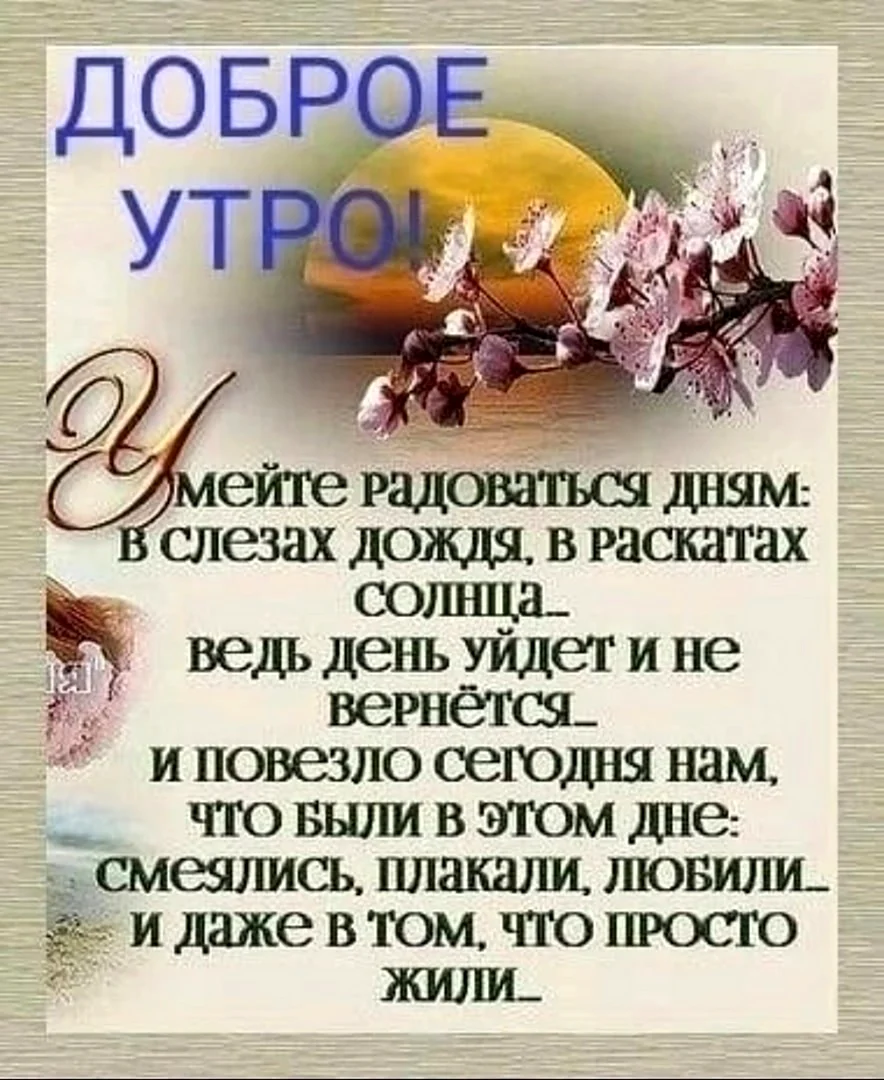 Добрые Мудрые мысли