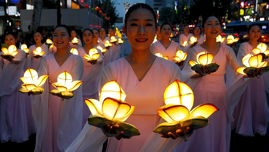 Фестиваль лотосовых фонарей Южная Корея