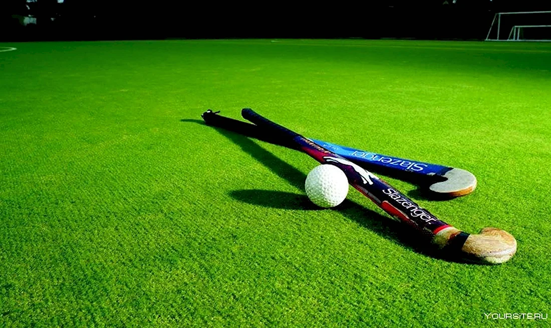 Field Hockey мяч