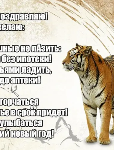 Год тигра