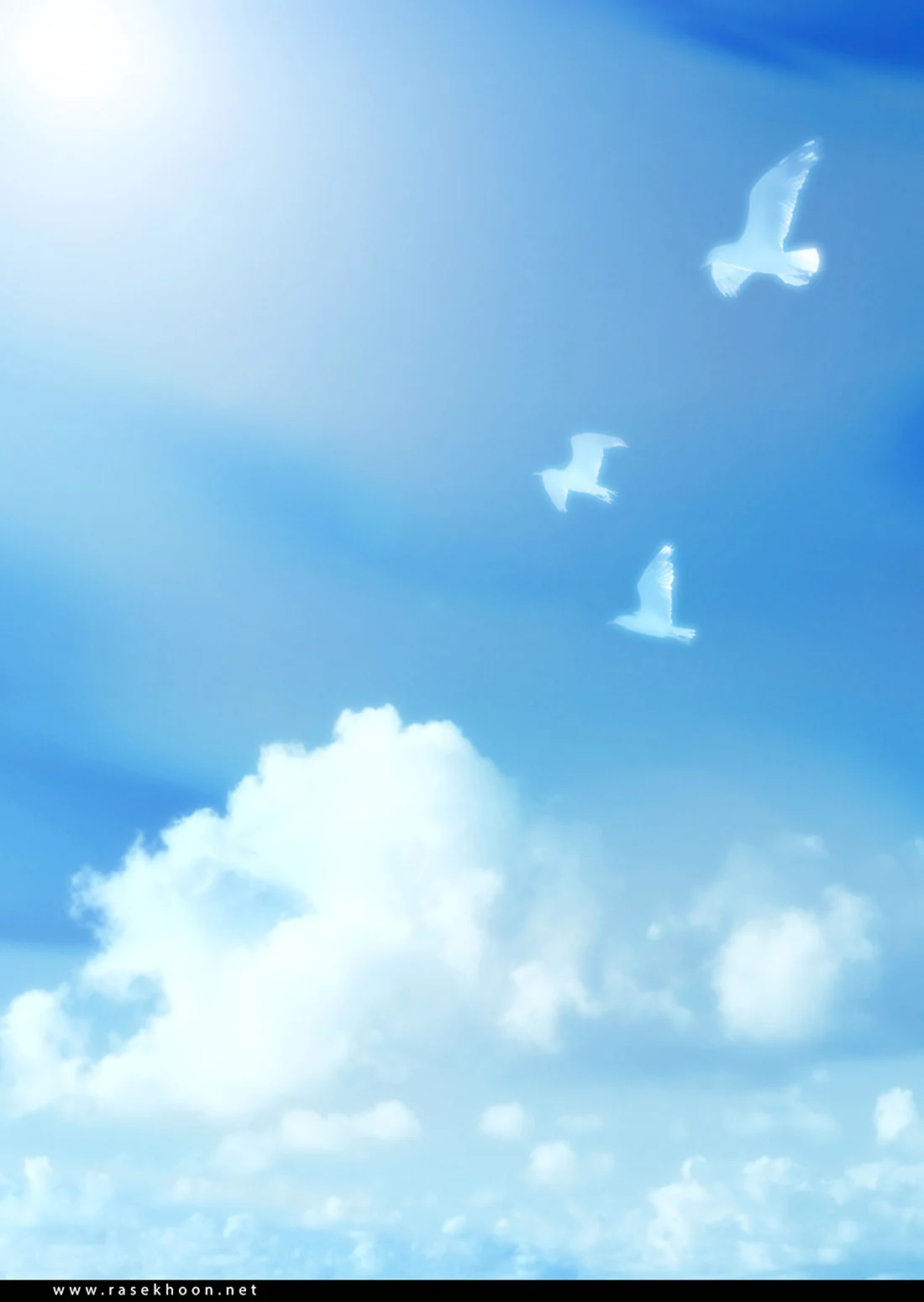 Голубое небо с голубями