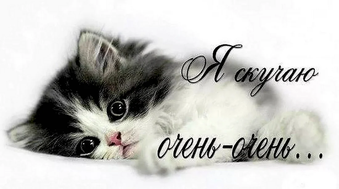 Я скучаю