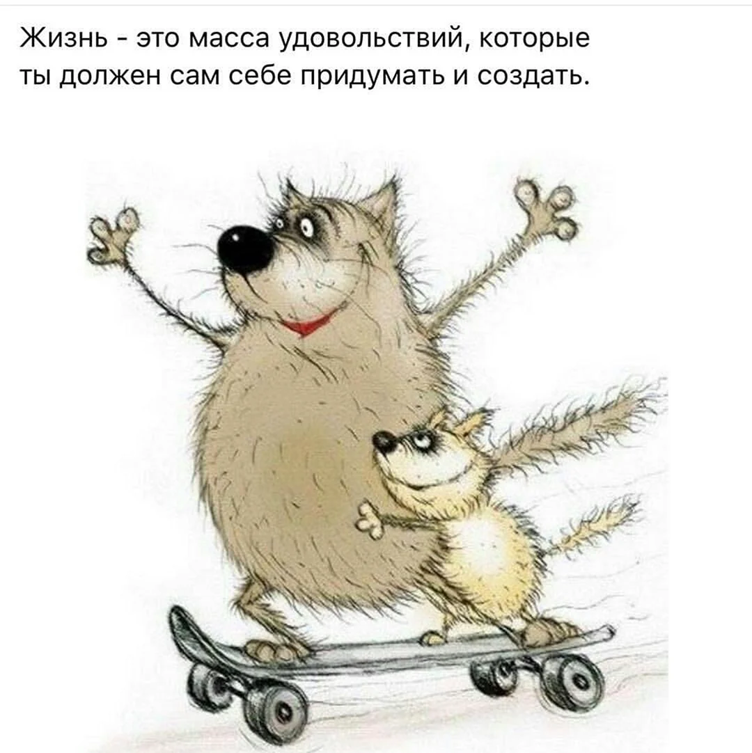 Юмор в картинках