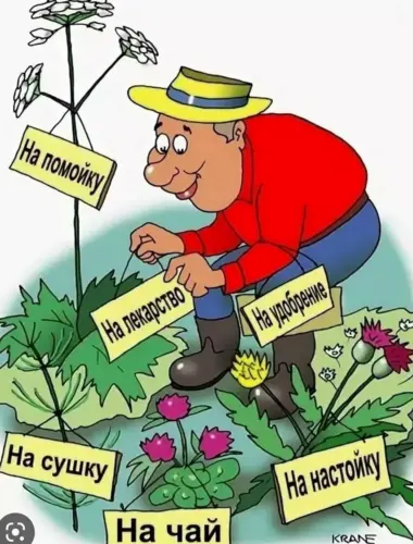 Карикатура дача