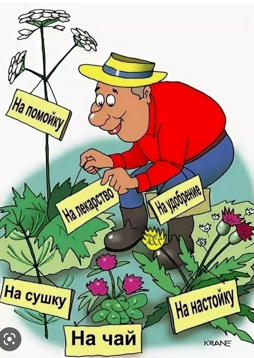 Карикатура дача