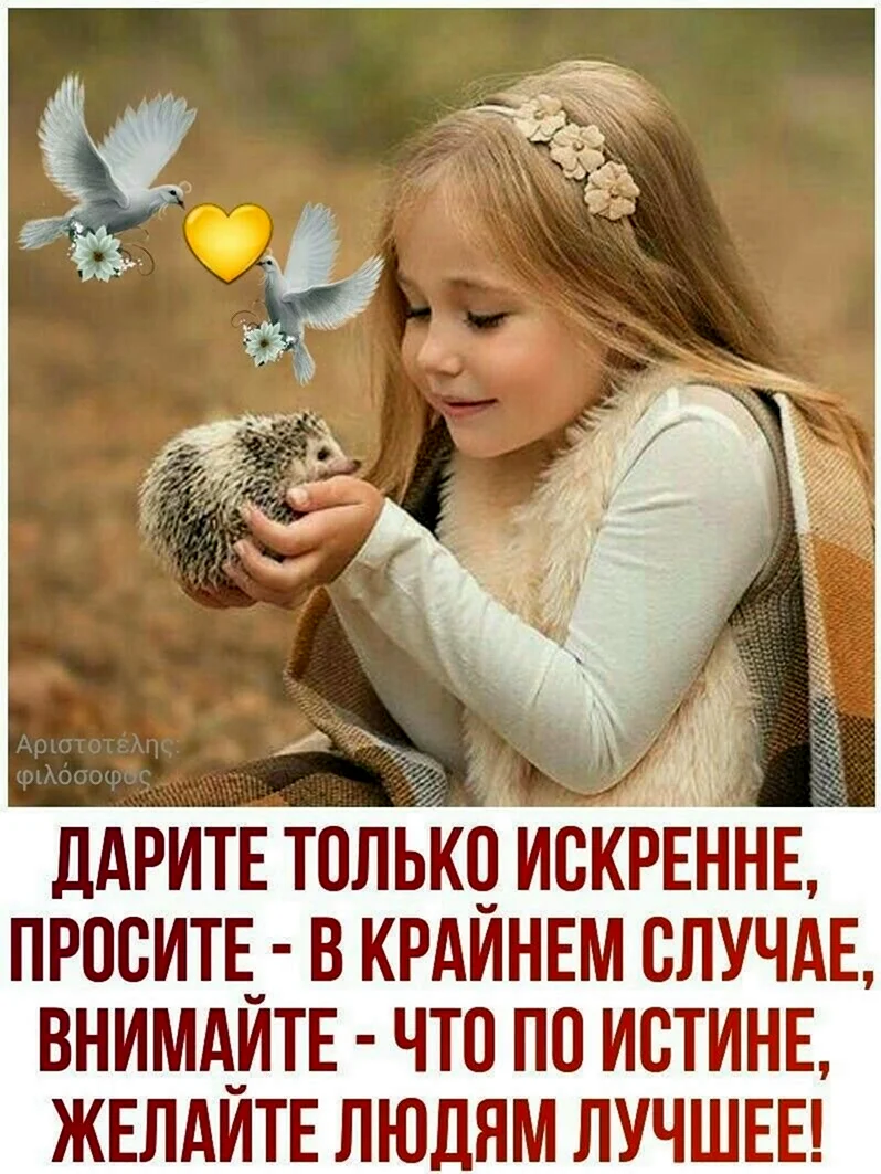 Хорошего дня умные высказывания