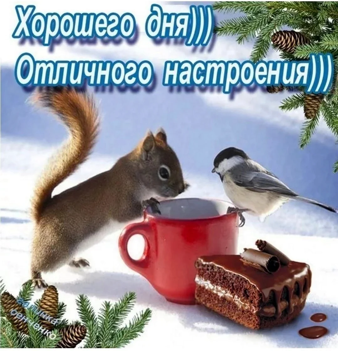 Хорошего зимнего дня