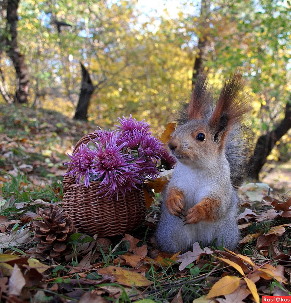 Хорошей осени