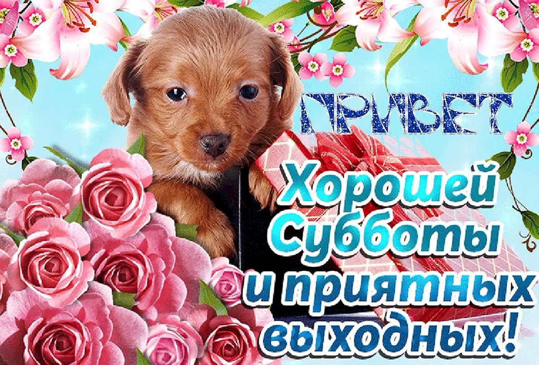 Хорошей субботы