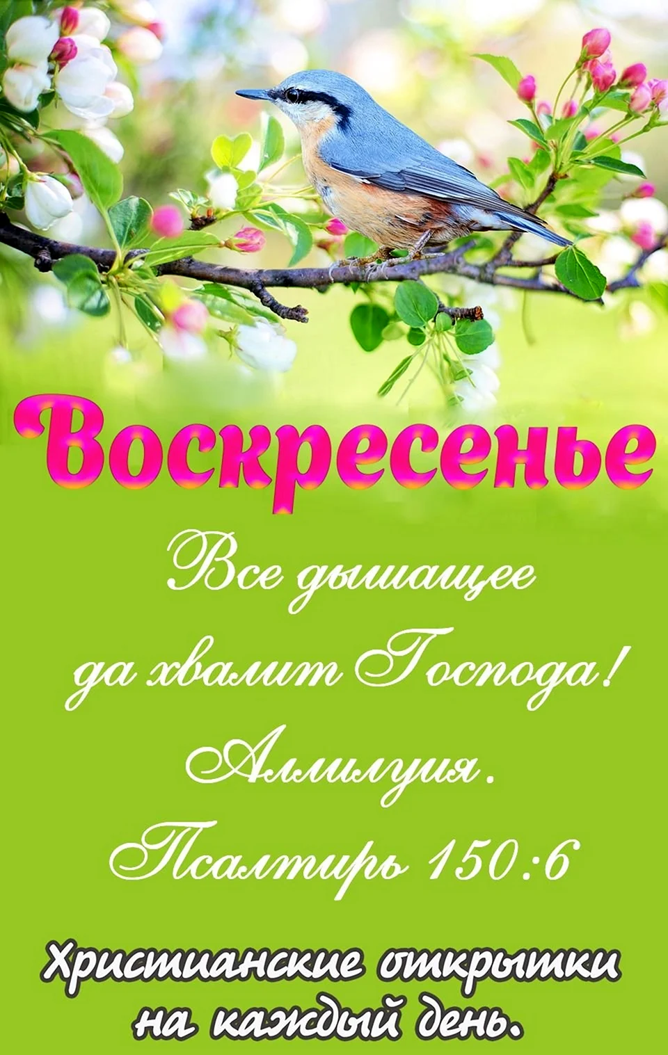 Соболезнования по случаю смерти своими словами коротко примеры