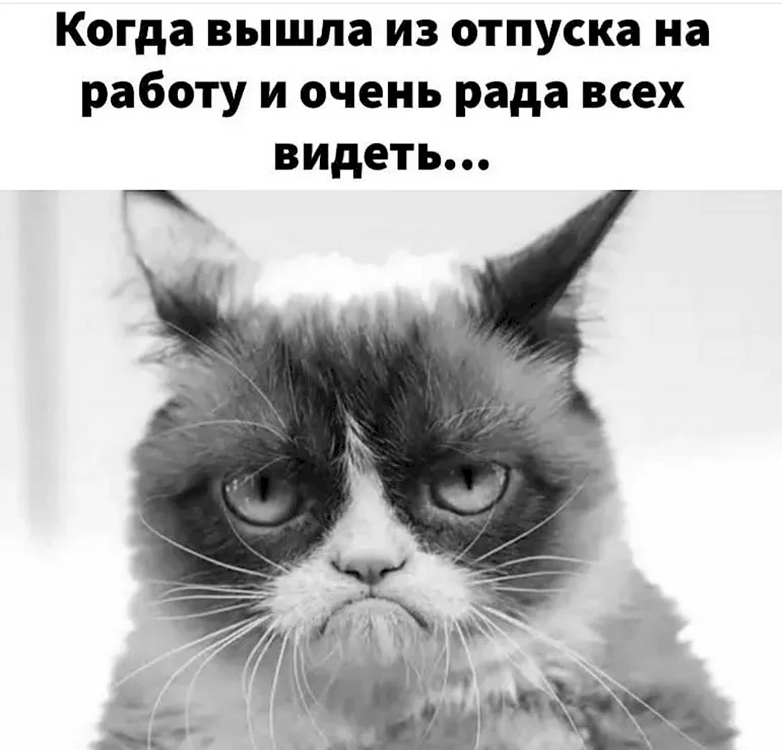 Когда вышел из отпуска на работу и очень рад всех видеть