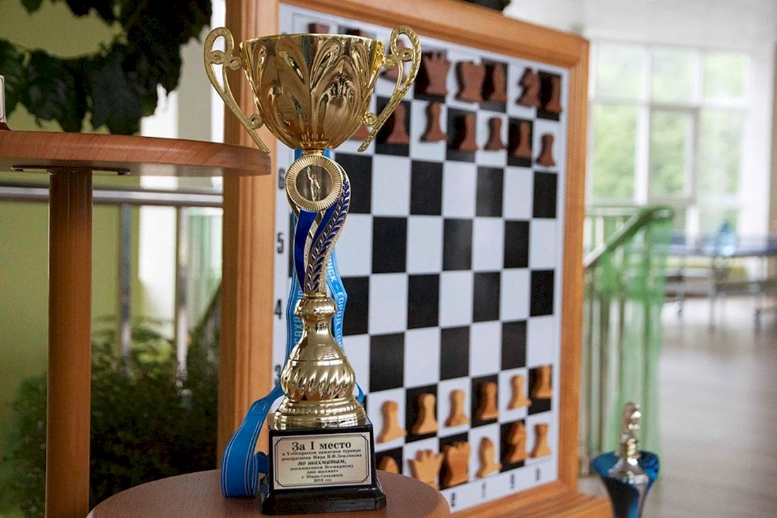 Кубок чемпиона мира по шахматам