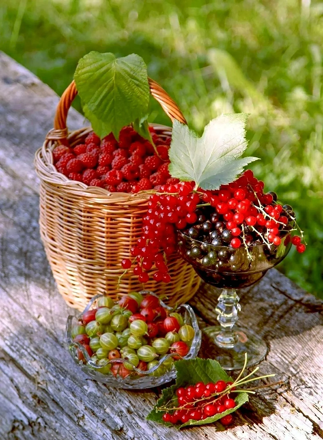 Летние ягоды