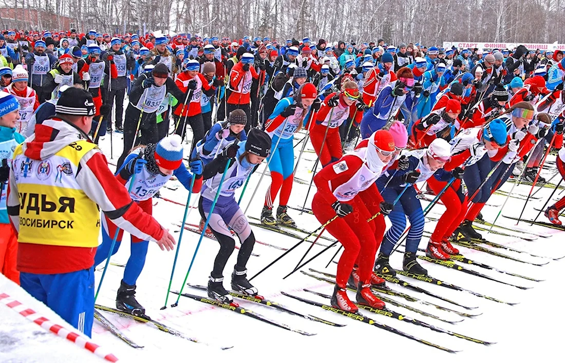 Лыжня России Новосибирск