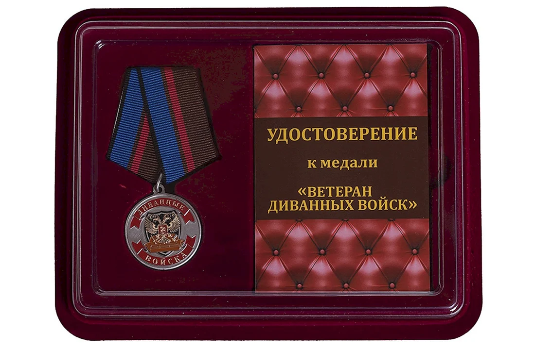 Медаль диванных войск
