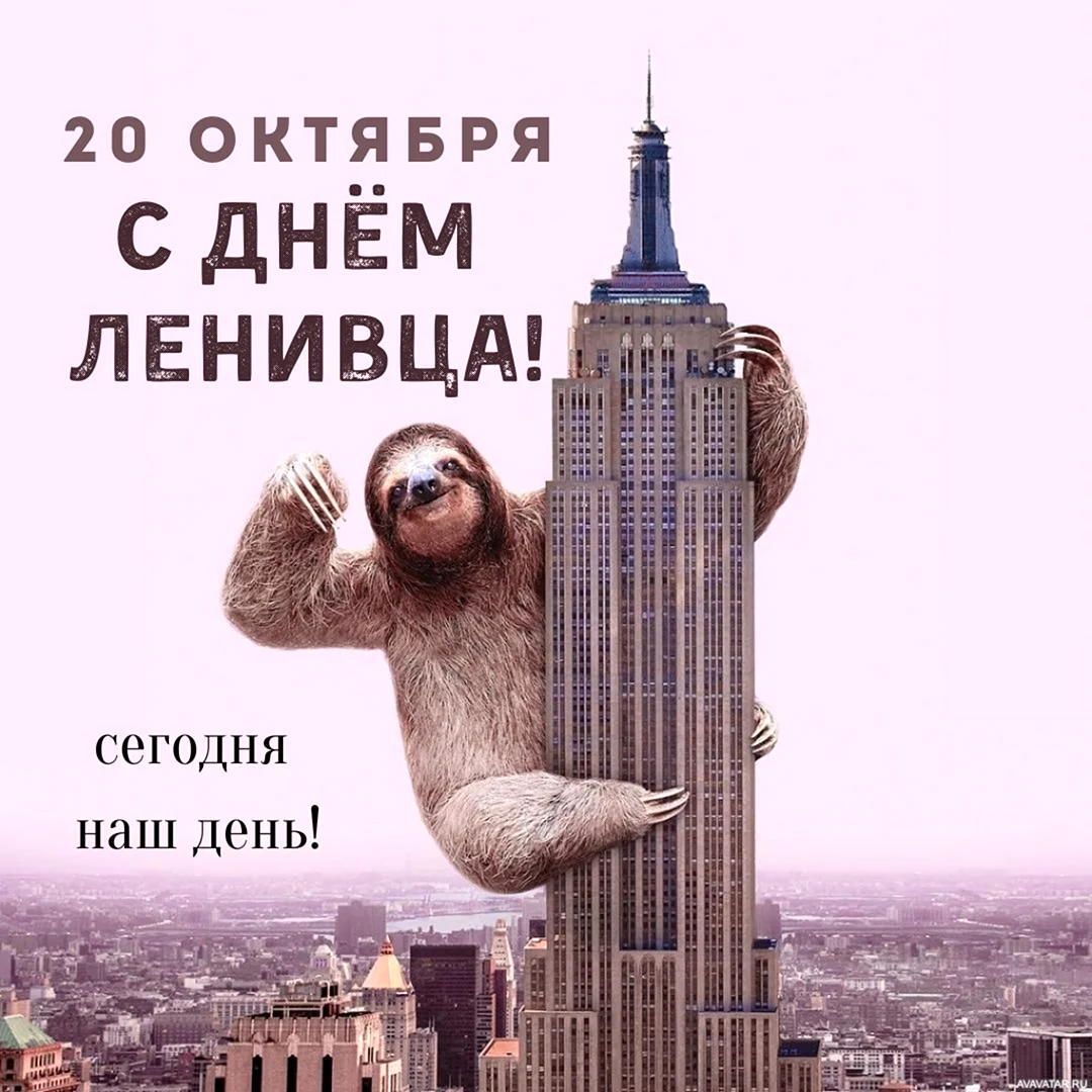 Международный день ленивца