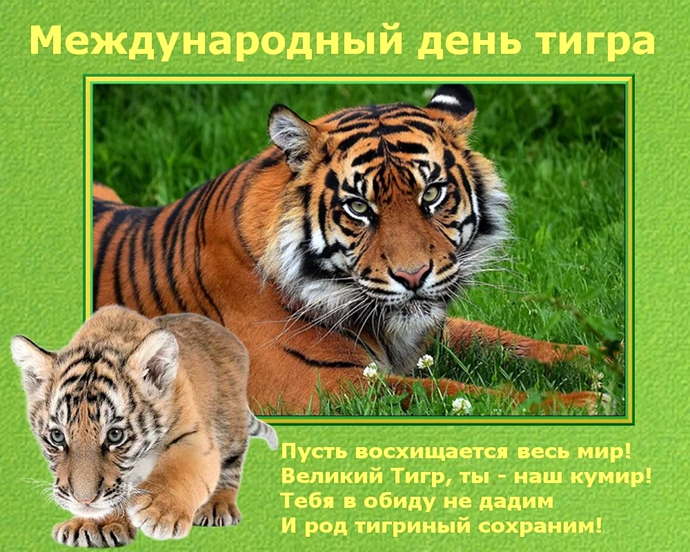 Международный день тигра