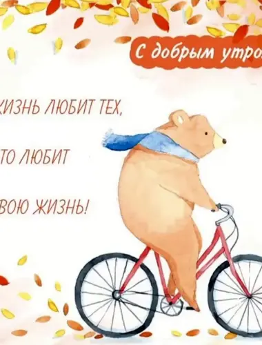 Мишка на велосипеде