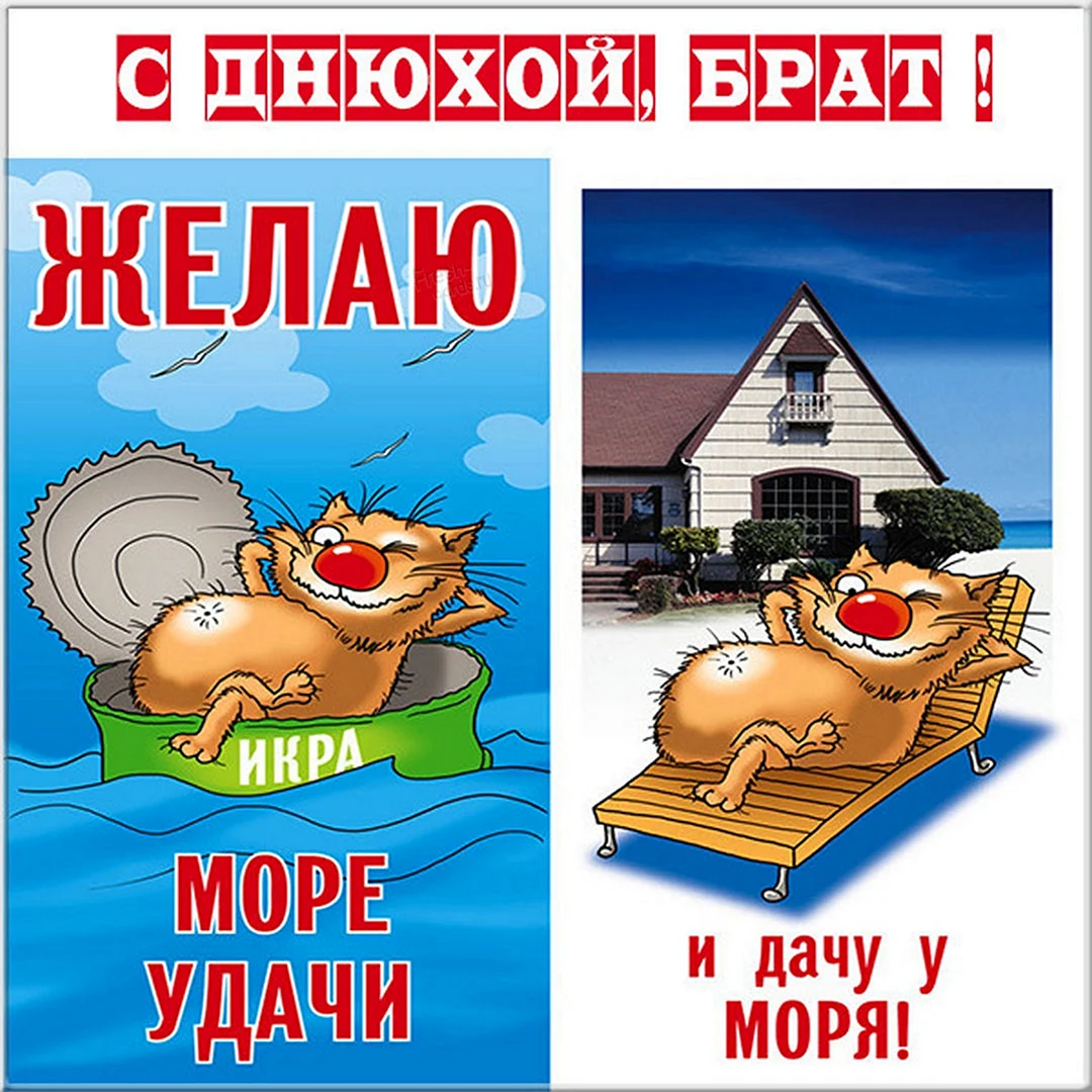 Море удачи и дачу у моря