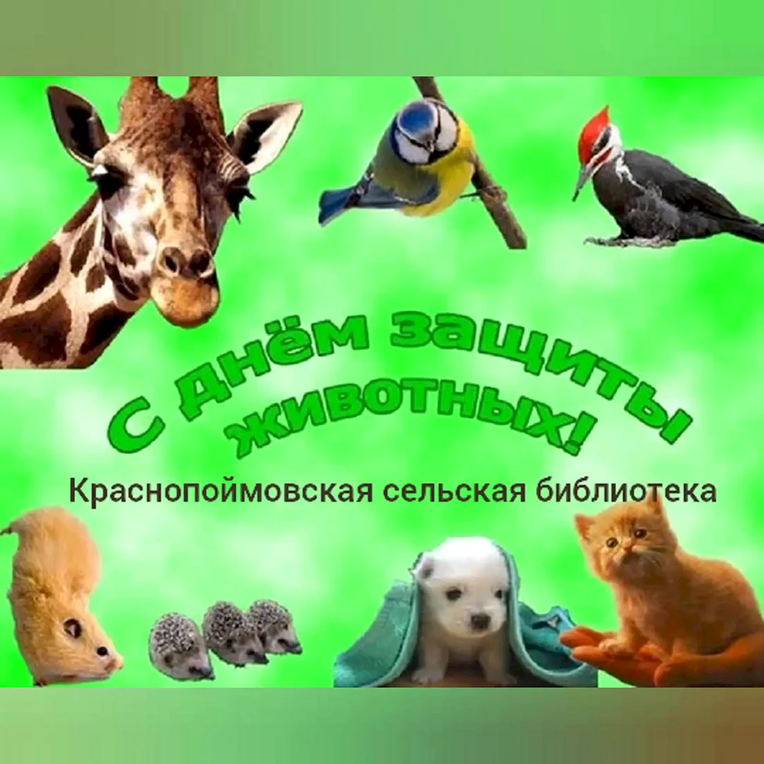 Надпись Всемирный день животных