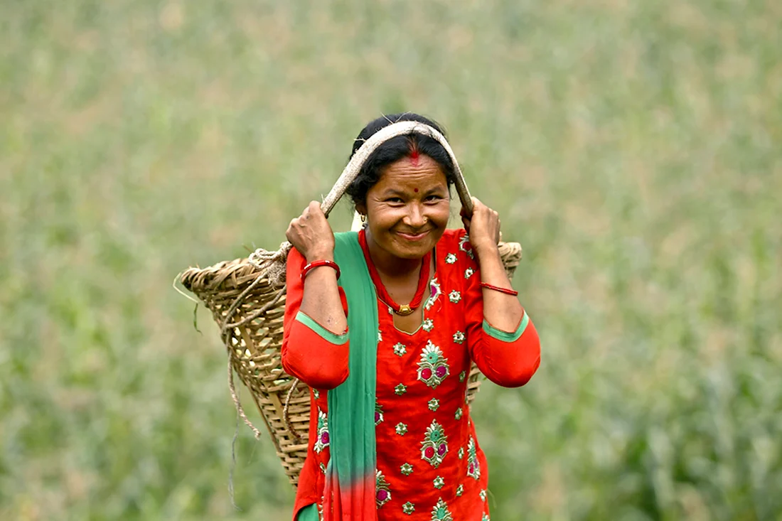 Nepal Farmer