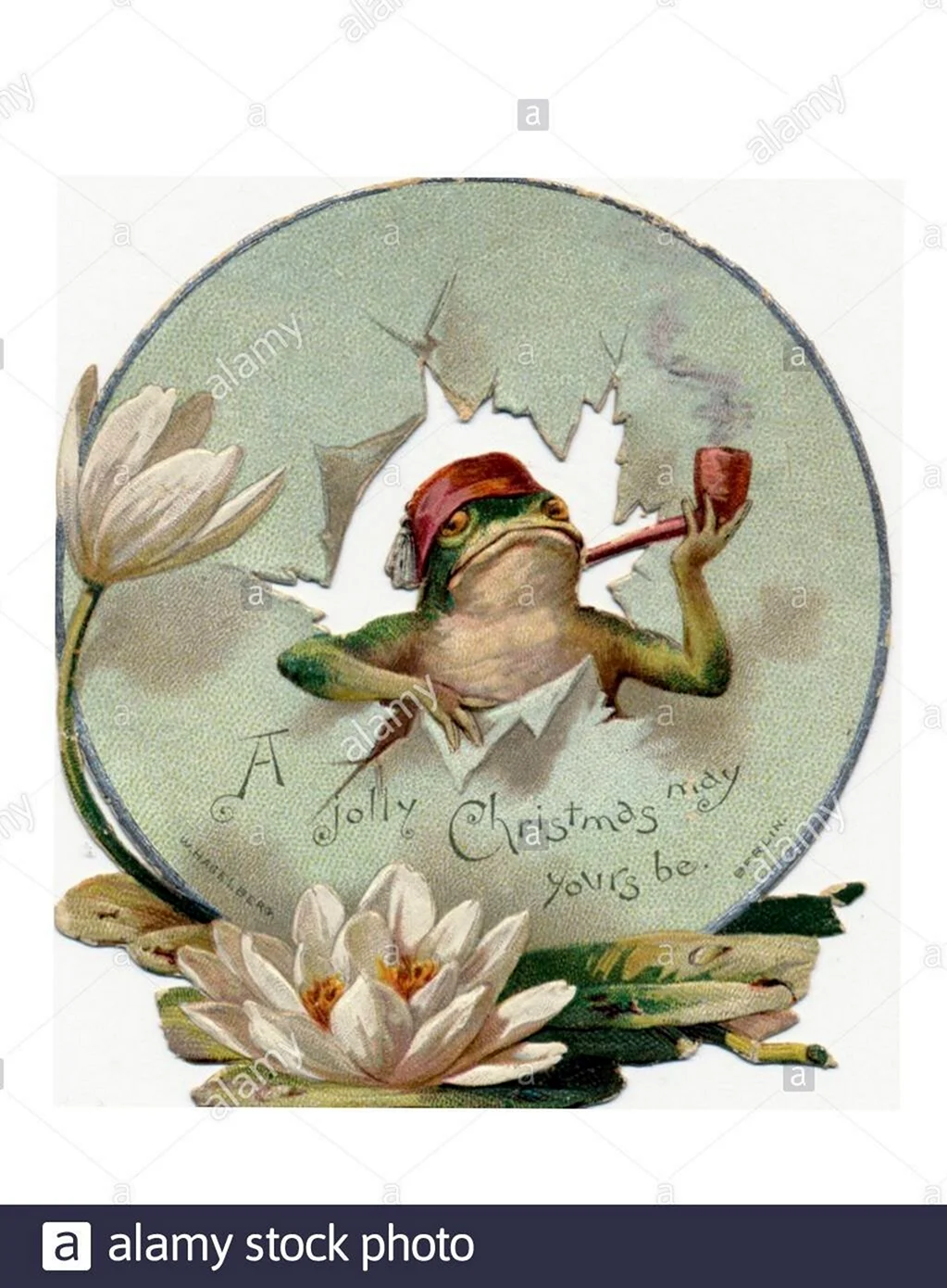 Новогодняя открытка с лягушкой