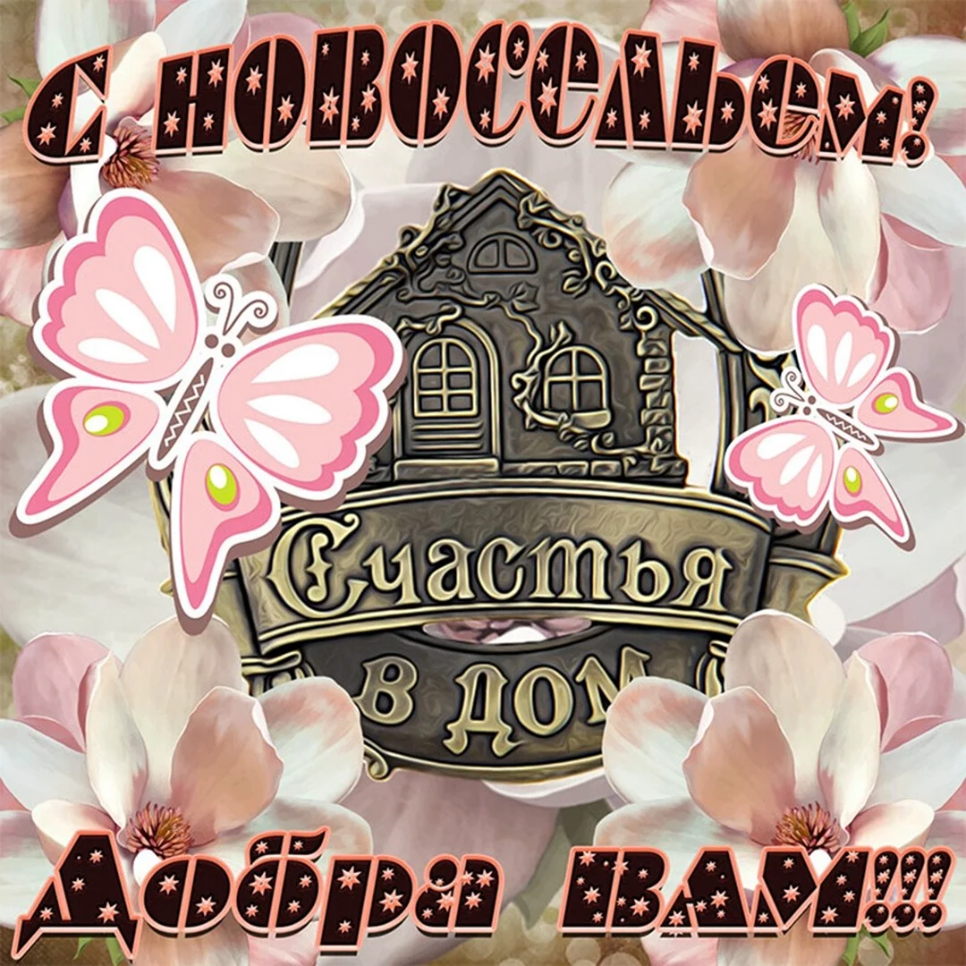 Новоселье