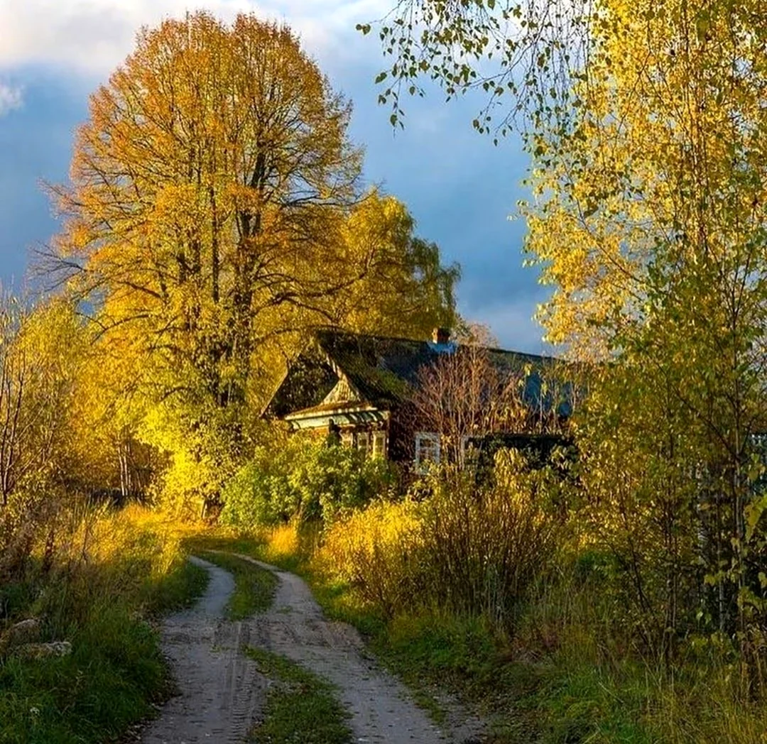 Осень в деревне