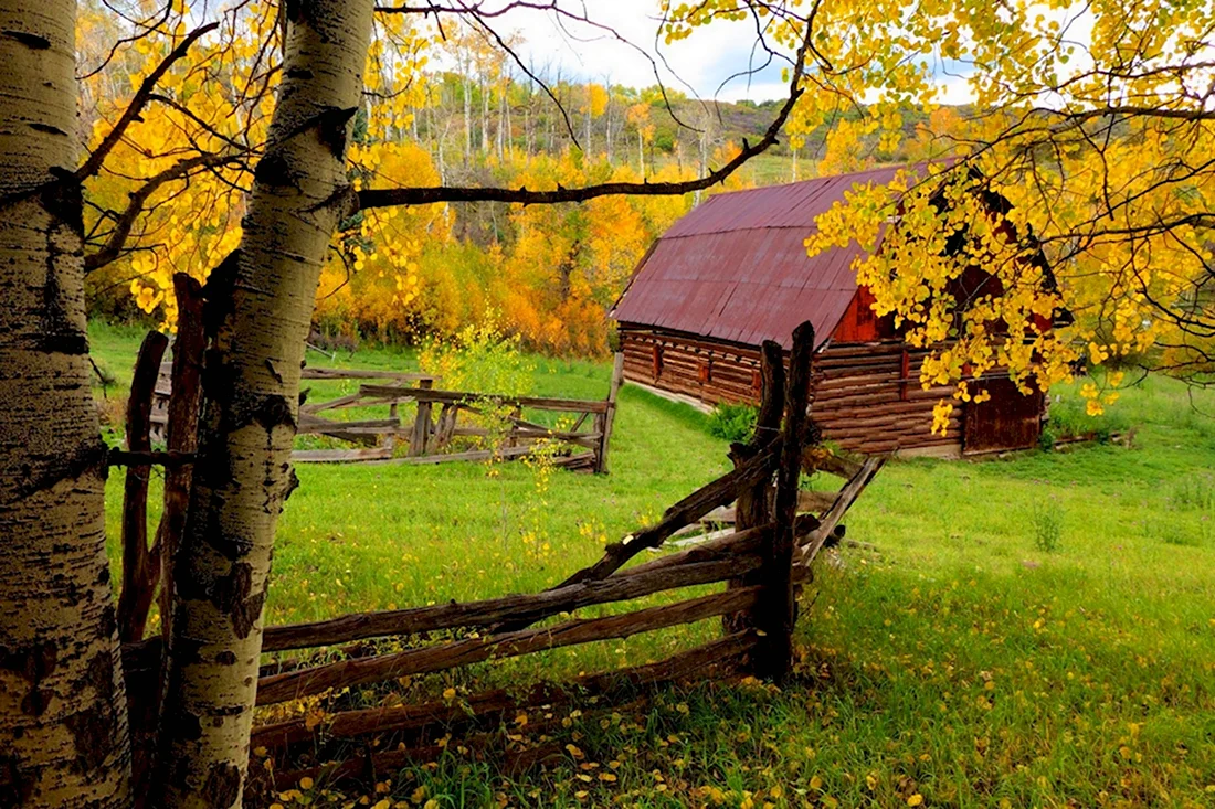 Осень в деревне