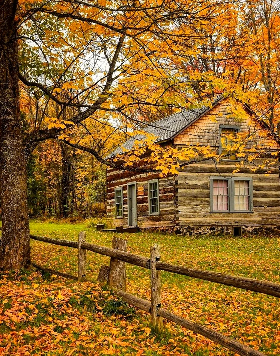 Осень в деревне