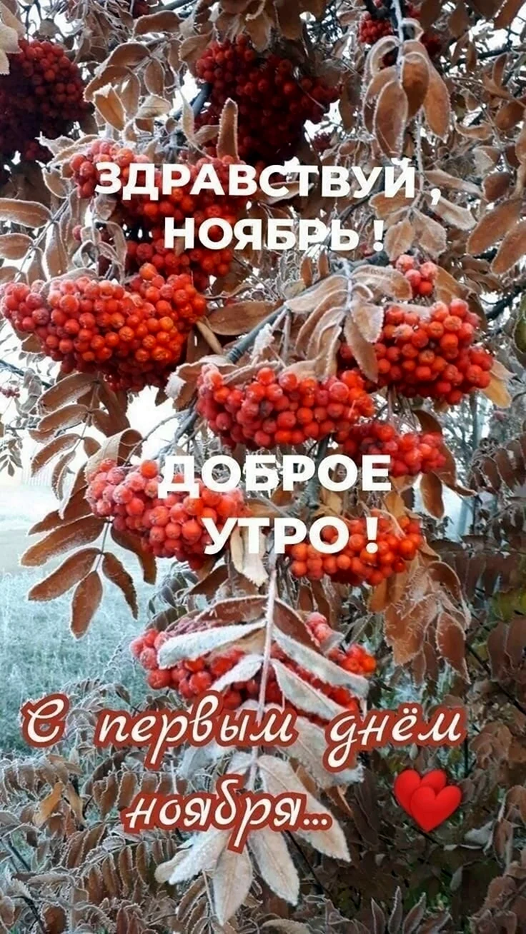 Осеннее ноябрьское утро