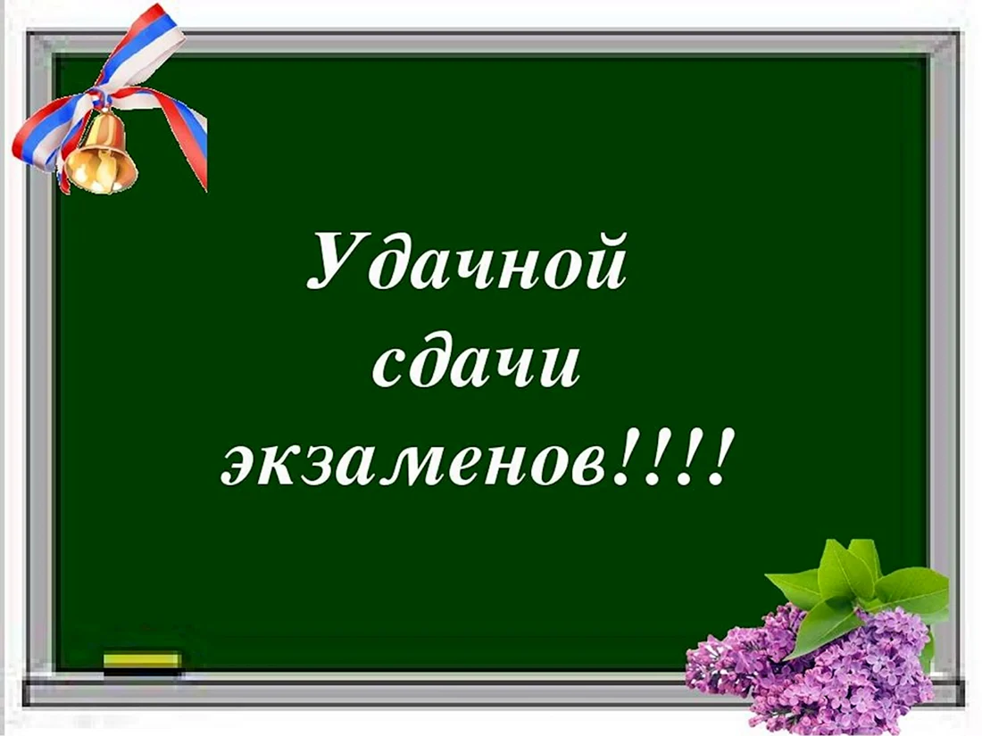 Поздравление со сдачей экзамена - 71 шт.