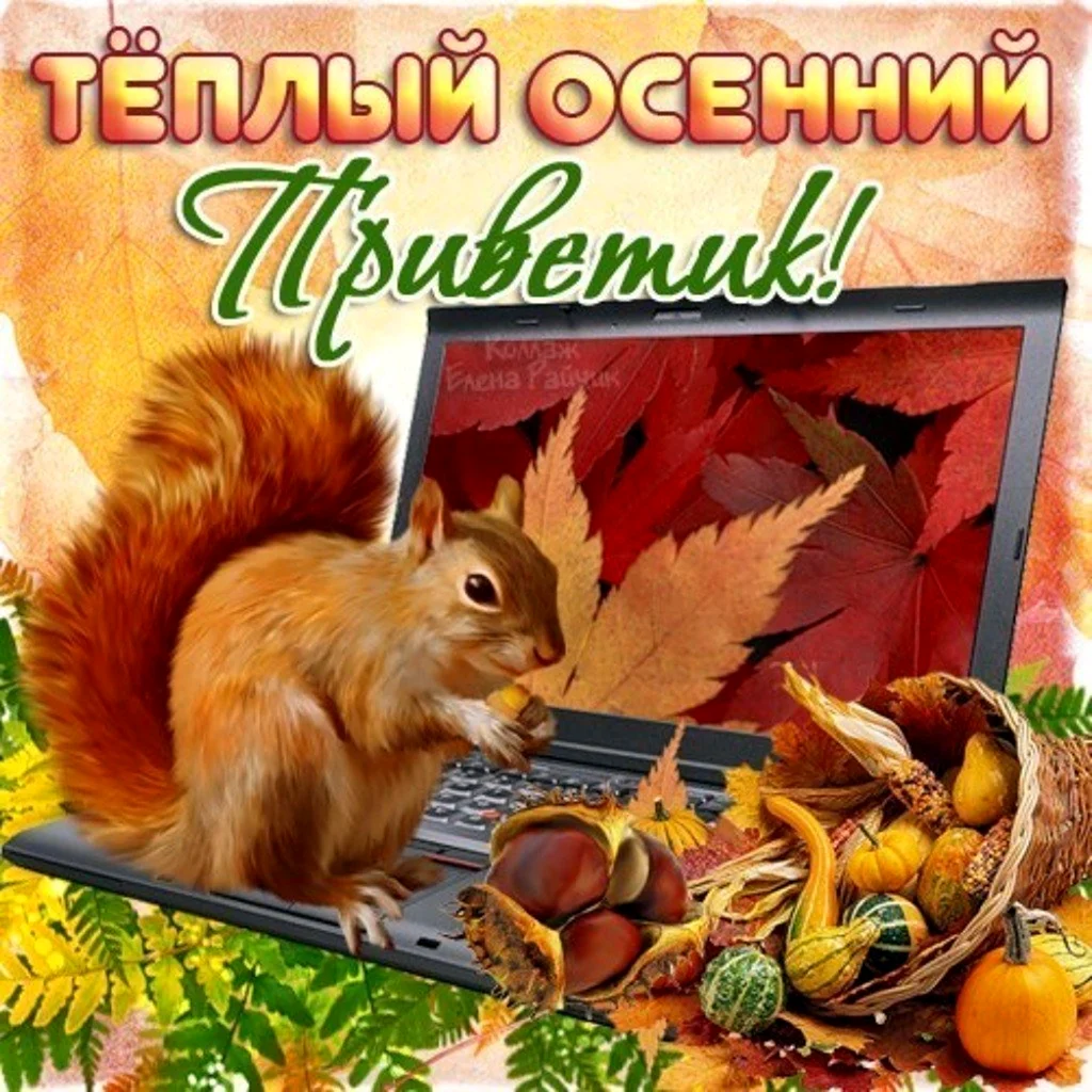 Открытки осенний приветик