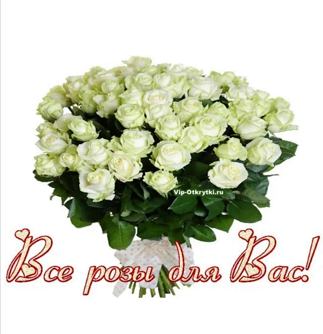 Открытки с днем рождения белые розы