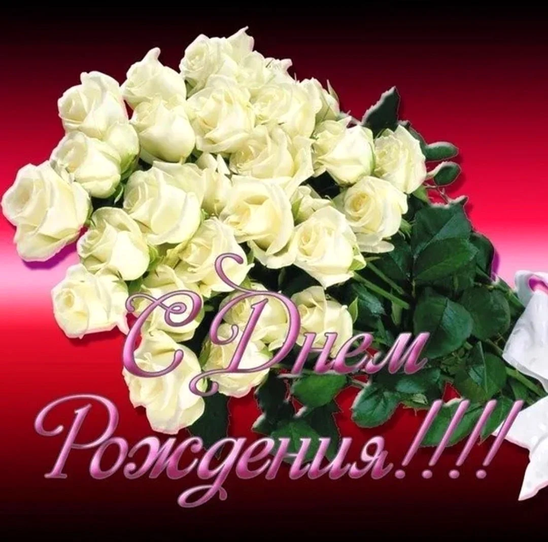Открытки с днем рождения белые розы
