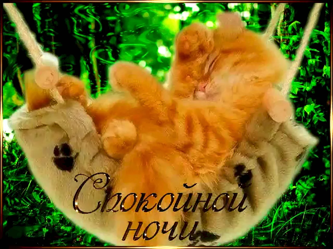 Открытки спокойной ночи