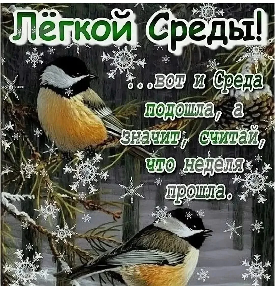 Открытки зимняя среда