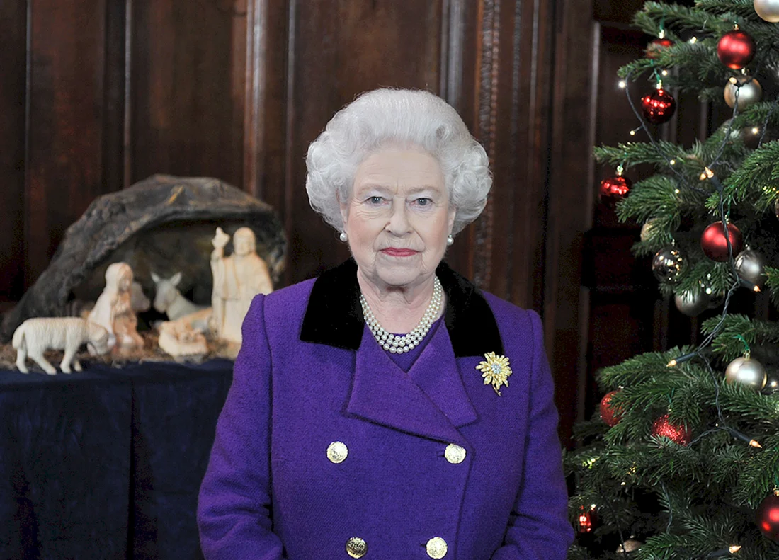 People watching the Queen on TV on Christmas