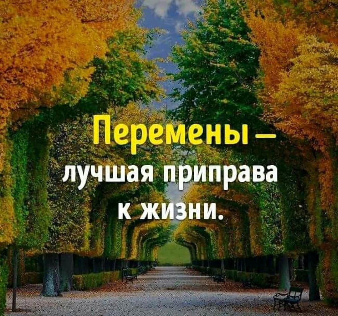 Перемены к лучшему