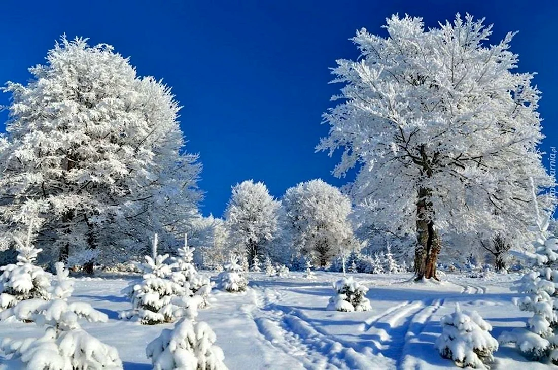 Первый день зимы