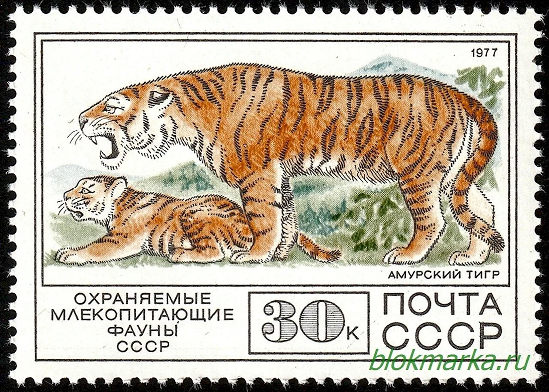 Почтовые марки СССР 1977 фауна